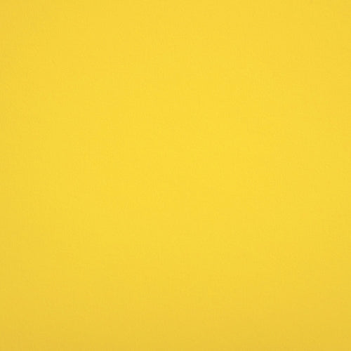 Favini Burano Bright Yellow
